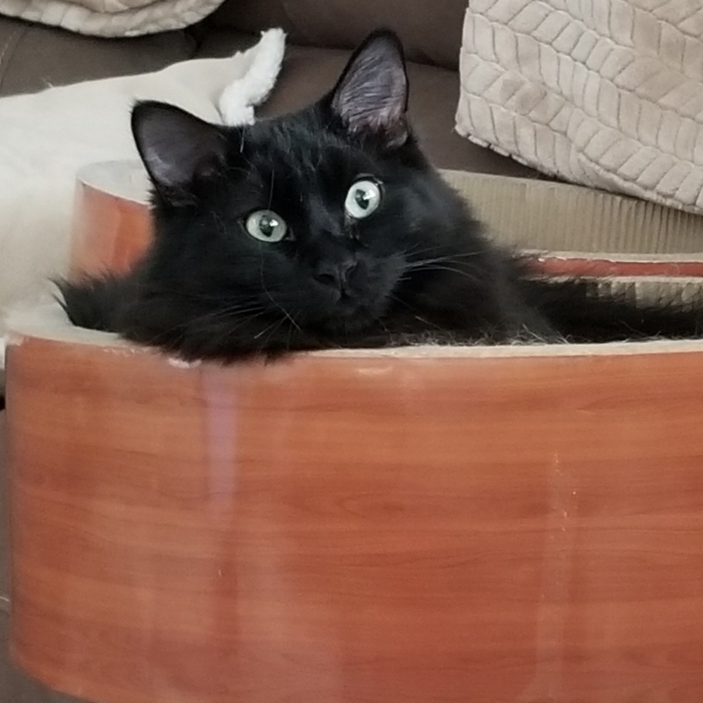 Meet your Posher, Cindy